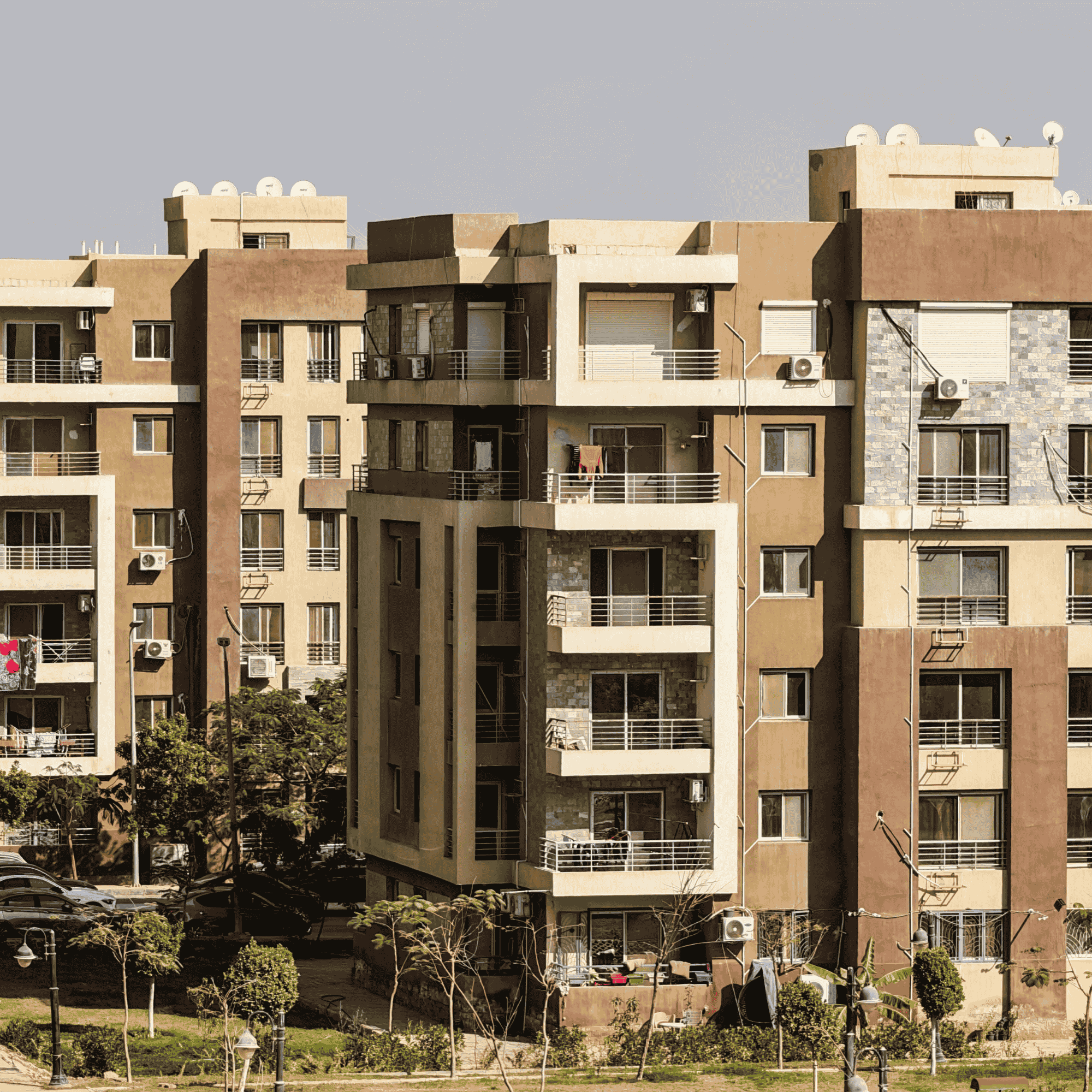 Informe de comportamiento del consumidor 2025